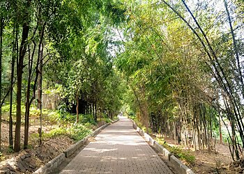 Sanjivini Tree Park