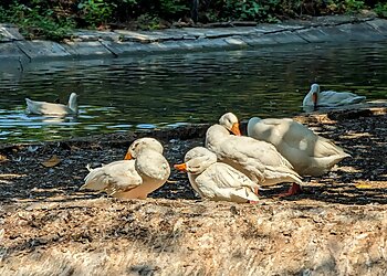 Sarthana Nature Park And Zoo