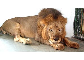 Sarthana Nature Park And Zoo