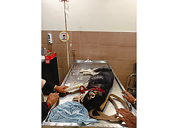 Sarvadnya Pet Care Unit