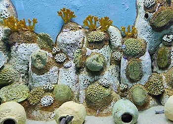 Science City Ahmedabad