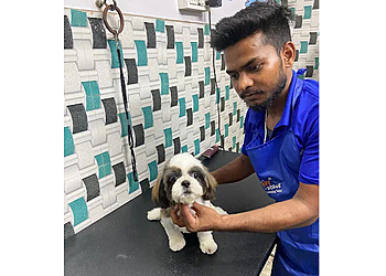 Scoopy Scrub & Pet Bytes