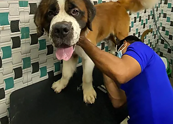 Scoopy Scrub & Pet Bytes