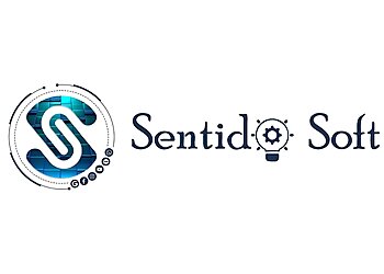 Guntur Web Designers Sentido Soft image 1