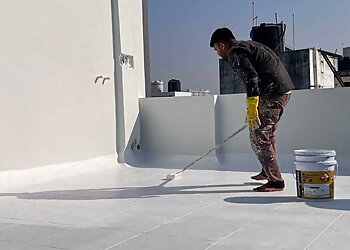 Shahani Painter & Contractor