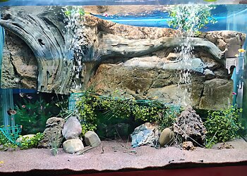 Shaheed Ashfaq Ullah Khan Zoological Park