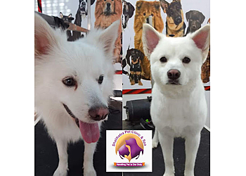 Shalihotra Pet Clinic & Spa