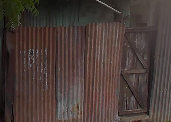 Shambhu jyotish karyalay