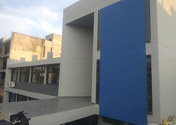 Shankar painter my walls