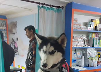 Shimla Pet Care Center