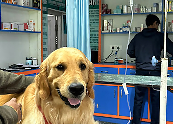 Shimla Pet Care Center