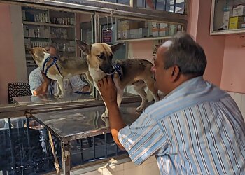 Shukla Veterinary Clinic