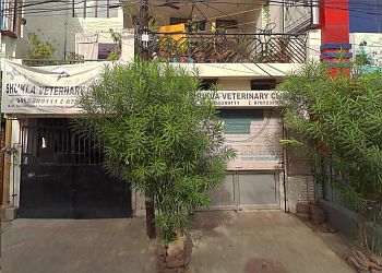 3 Best Veterinary Hospitals in Lucknow, UP - ThreeBestRated