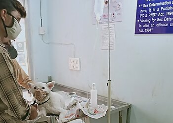 Shyam Veterinary Clinic