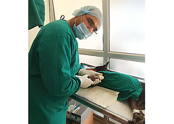 Singh Pet Hospital