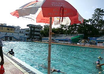 Sir Vizzy Swimming Pool