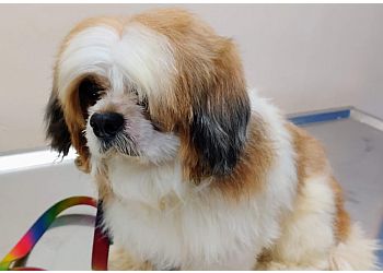 SKRD Veterinary Hospital