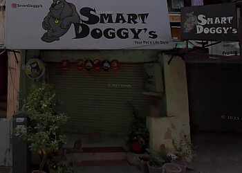 Smart Doggy's