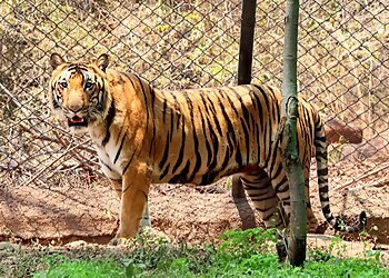 Sri Venkateswara Zoological Park