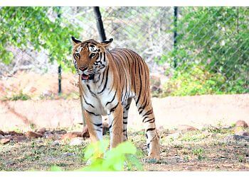 Sri Venkateswara Zoological Park