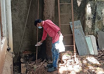 Star Link Pest Control Service