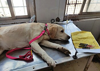 State Veterinary Hospital