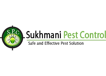 3 Best Pest Control Services in New Delhi - Expert ...