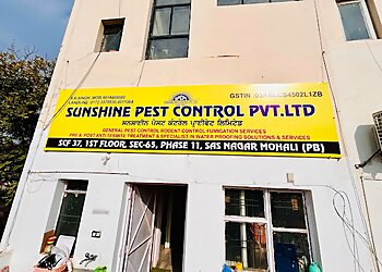 Chandigarh Pest Control Services Sunshine Pest Control Private Limited  image 1