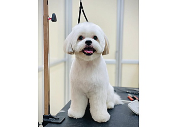 Super Dog Pet Grooming & Pet Shop
