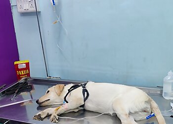 Supreme Pet Clinic And Care Centre