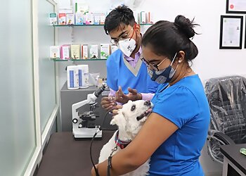 Surat Pet Clinic