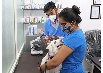 3 Best Veterinary Hospitals in Surat - Expert Recommendations