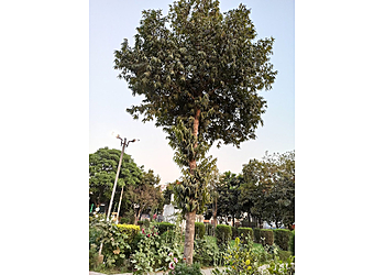 Surya Enclave Park (Rose Park)