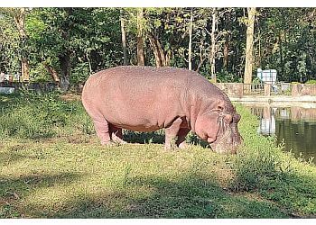 Tata Steel Zoological Park
