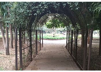 Tau Devilal Biodiversity Park