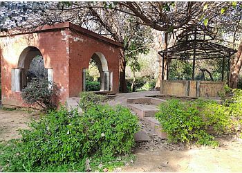 Tau Devilal Biodiversity Park