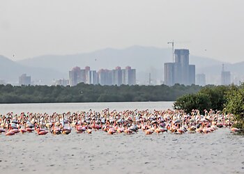 Thane Creek Flamingo Sanctuary