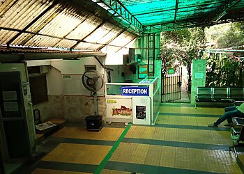 The Animal Care Clinic