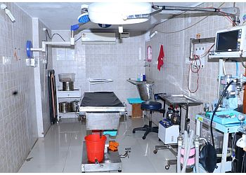 The Animal Care Clinic