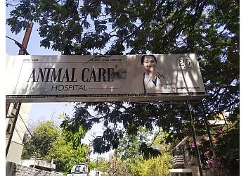 The Animal Care Clinic