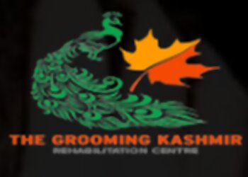 Srinagar Addiction Treatment Centres The Grooming Kashmir Rehabilitation Centre image 1