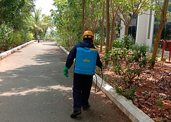 The King Pest Management