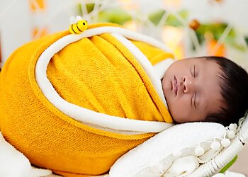 The Little Butterfly