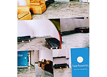 The Pawstel- Pet Stay & Boarding