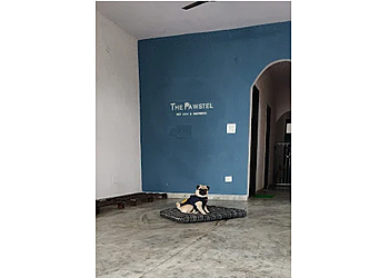 The Pawstel- Pet Stay & Boarding The Pawstel- Pet Stay & Boarding