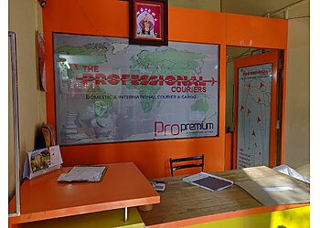 The Professional Couriers