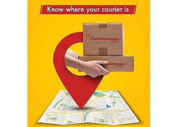 The Professional Couriers