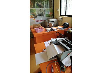 The Professional Couriers