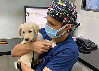 The Progressive Pet Clinic