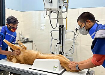 The Progressive Pet Clinic